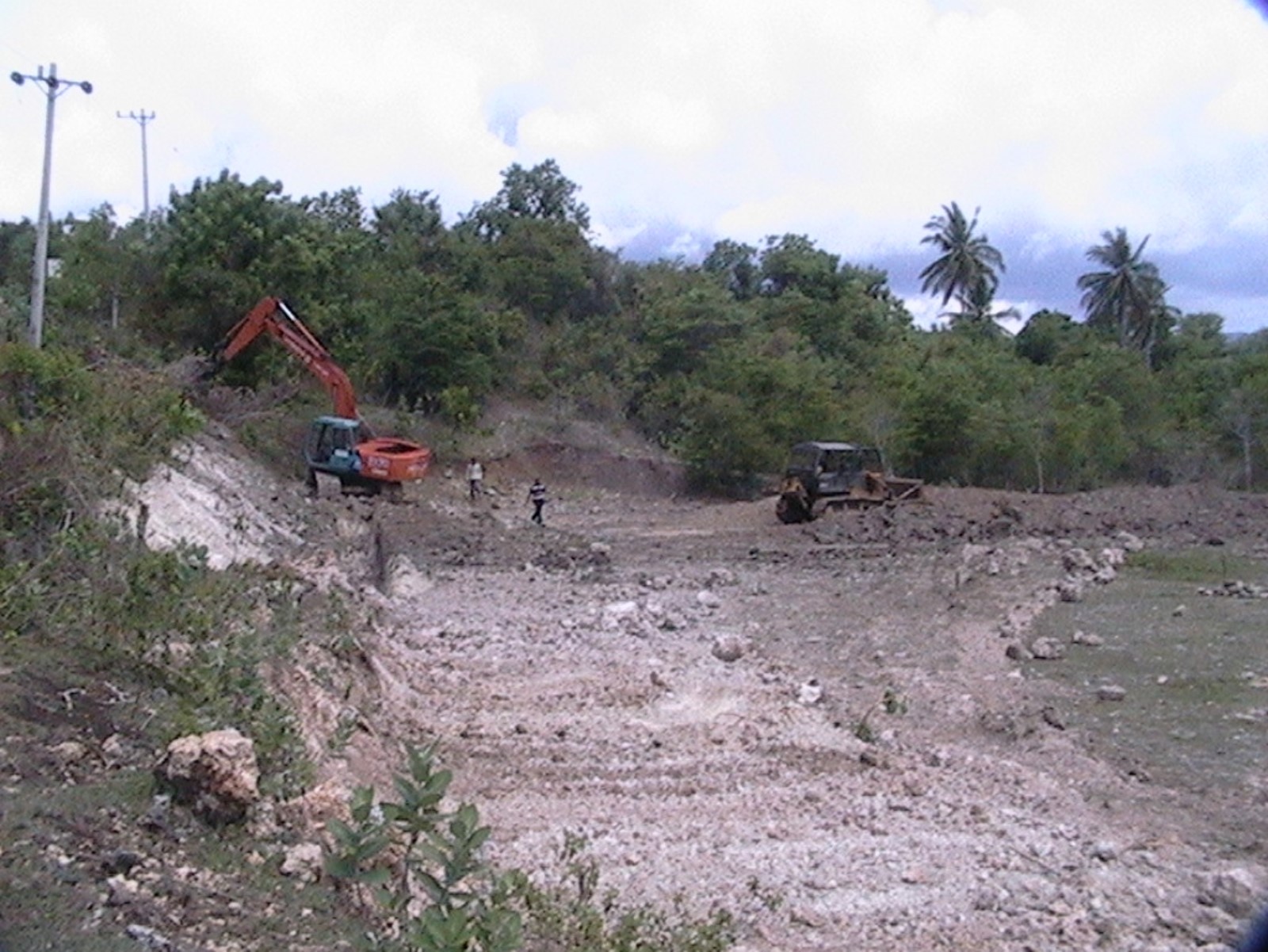 lamreh clearing